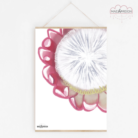 Top Profile Protea - Mae She Reign - Creative Studio