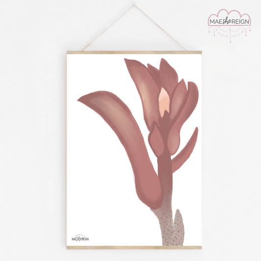 Kangaroo Paw - Mae She Reign - Creative Studio