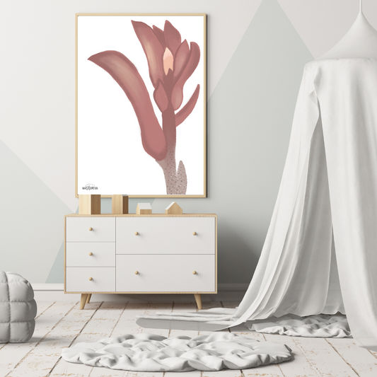 Kangaroo Paw - Mae She Reign - Creative Studio